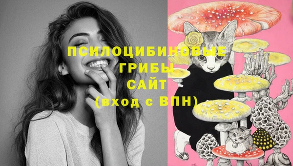 трава Майский