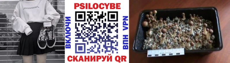 Галлюциногенные грибы GOLDEN TEACHER  как найти наркотики  Мурманск 