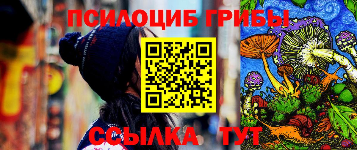цена наркотик  Вход с VPN  Мурманск  Галлюциногенные грибы мицелий 